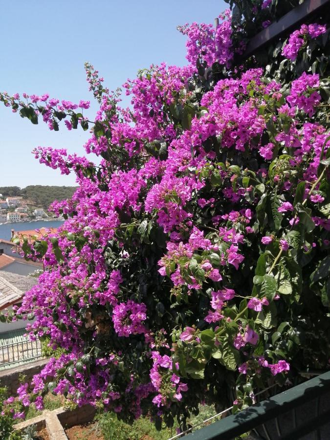 Fioretta Mali Lošinj Dış mekan fotoğraf